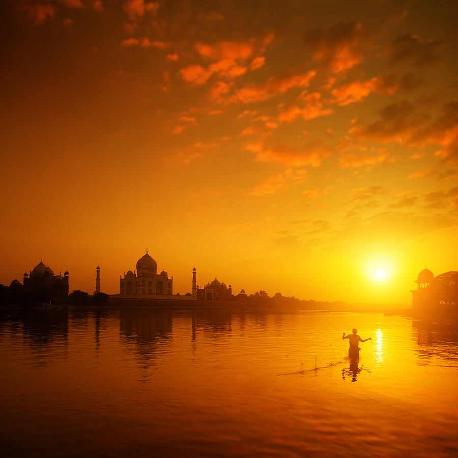 MCD plans 10 biogas plants to curb dairy waste flowing into Yamuna