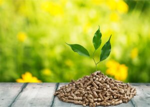 Sustainable Biomass Program publishes updated certification standards