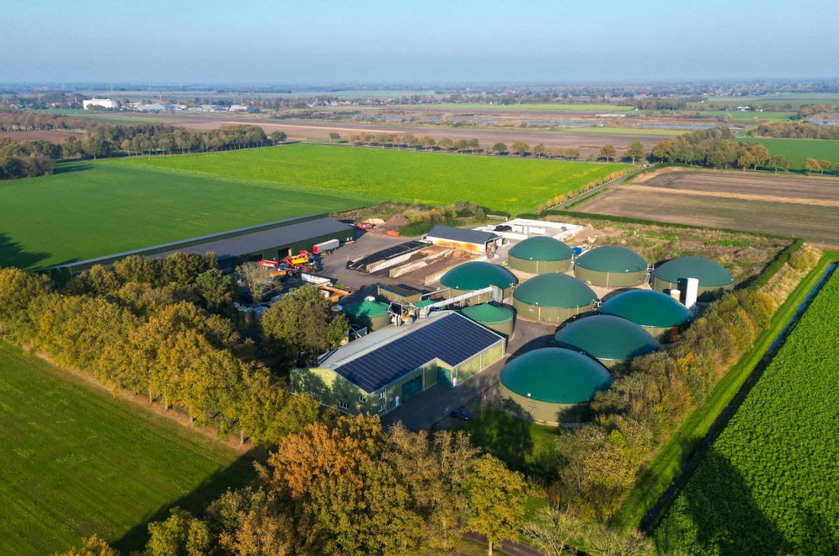 Biogas must abandon cost competition with renewables, researchers argue