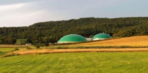 UK biomethane ambition stalls amid feedstock trade-offs, NESO finds