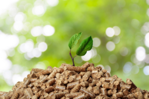 Wood Fuel and Heating Association launches to unify UK biomass sector