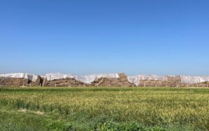 Finnish firm partners to develop modular biomass biogas plants in India