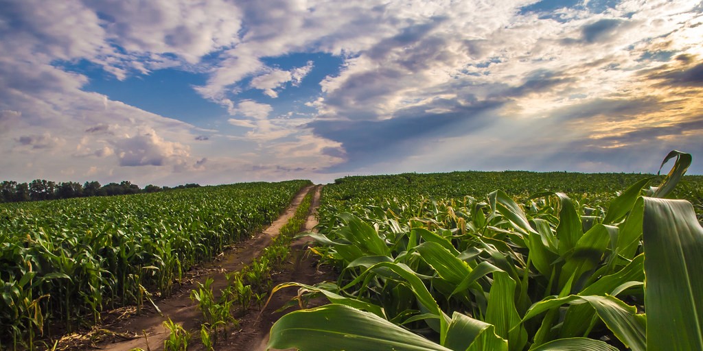 Noble County earns first in-State BDO Zone ‘A’ rating for corn stover