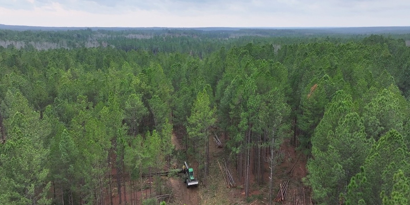 Moore County secures BDO Zone ‘A’ rating for woody biomass